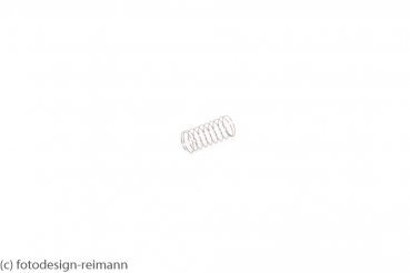 Druckfeder (102024)