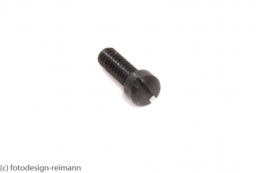 Formschraube 755200 BR 24 - 2 x 5,5 (102024)