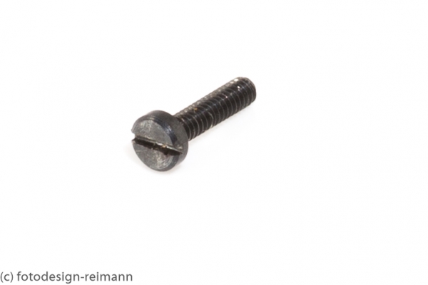 ICE 3 Zylinderschraube Motorwagen